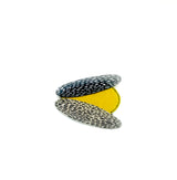 Banksia Dreaming 1